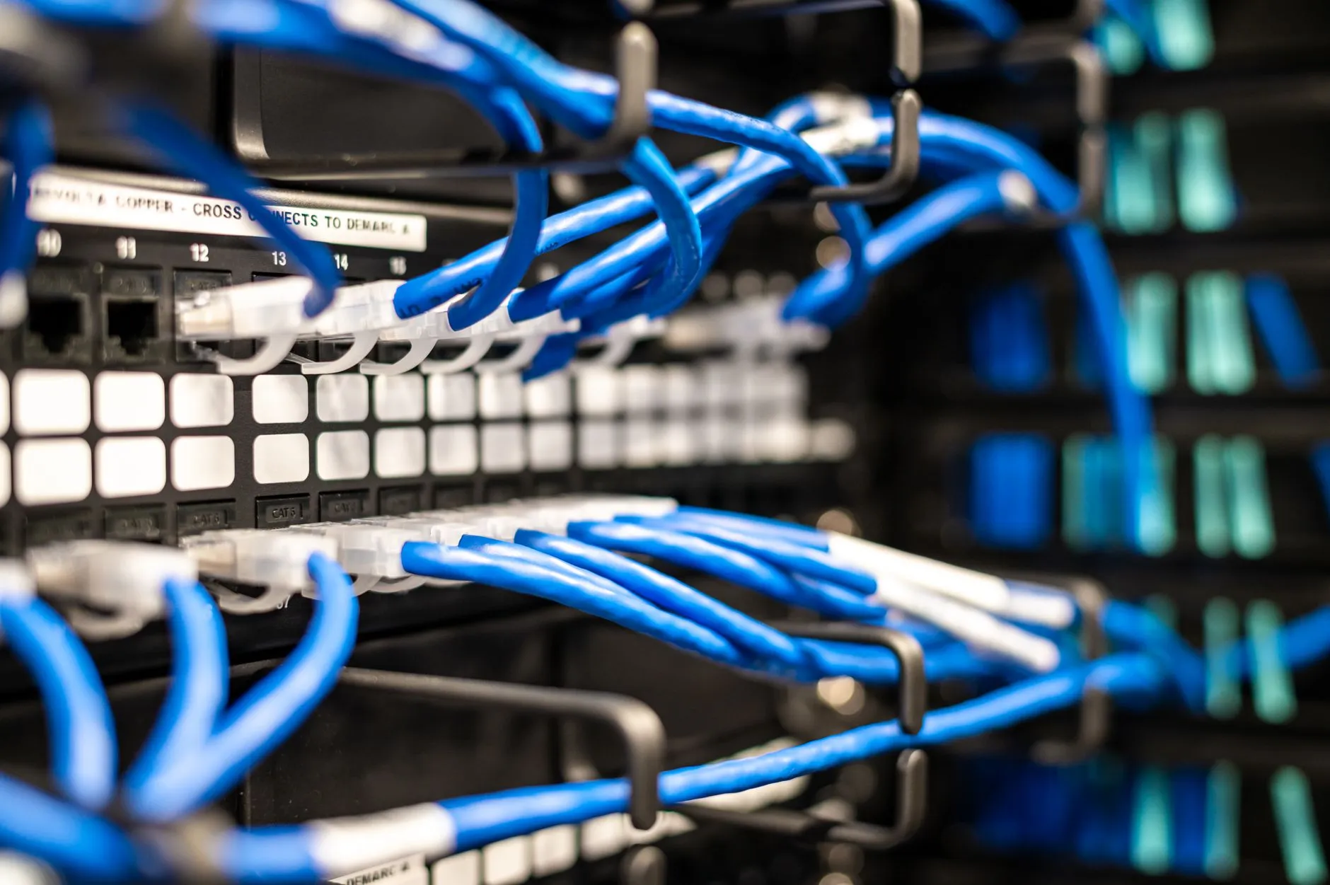 Blue network cables patched into a rack-mounted switch and patch panel